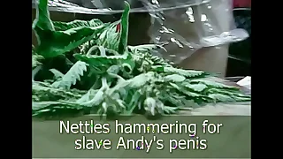 Stinging nettles hammering penis dare apart from andy