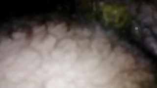 Maduro vergom me coje y se viene dentro  me cago.. (parte