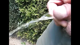 Gay piss