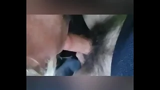 Buggy fun fro an otter