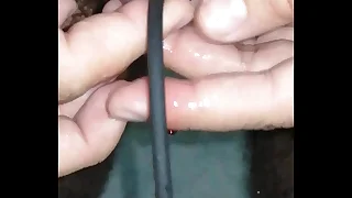 Urethral sound & piss
