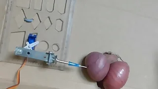 Paulannie's mini servo motor th