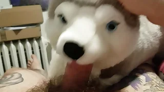 Blowjob from my plushie husky increased by finished with a masturbation